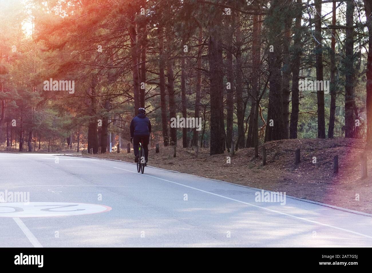 Bike ride in the forest hi-res stock photography and images - Alamy