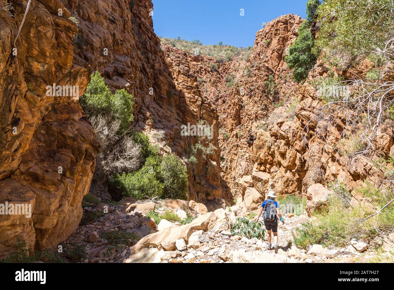 A young woman hiking the Olive Trail in Namib Naukluft Park, walking through a canyon with eroded big rocks, Namibia, Africa Stock Photo