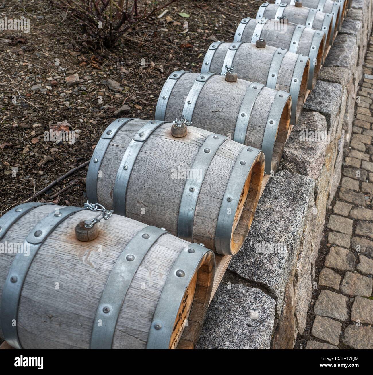 Small grey tasting vintage wine barrels in a row with corkscrews. Shot in winter in cold daylight at St. Claire's VIneyard, Botanical Gardens, Prague Stock Photo