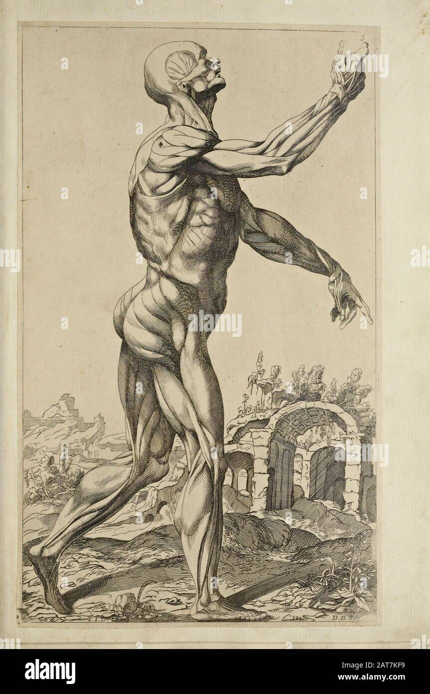 Male full body side view woodcut print at the opening of the Human Anatomy book 'Notomie di Titiano' Printed in Italy in 1670 Stock Photo