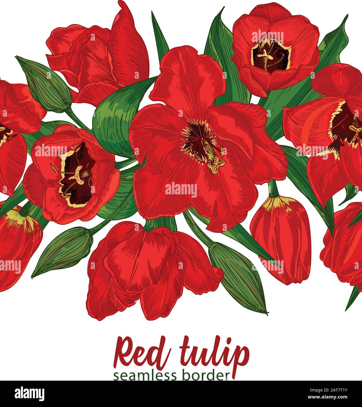 Greeting background with Spring flower tulips bouquet in red and green colors. Horizontal seamless pattern Stock Vector