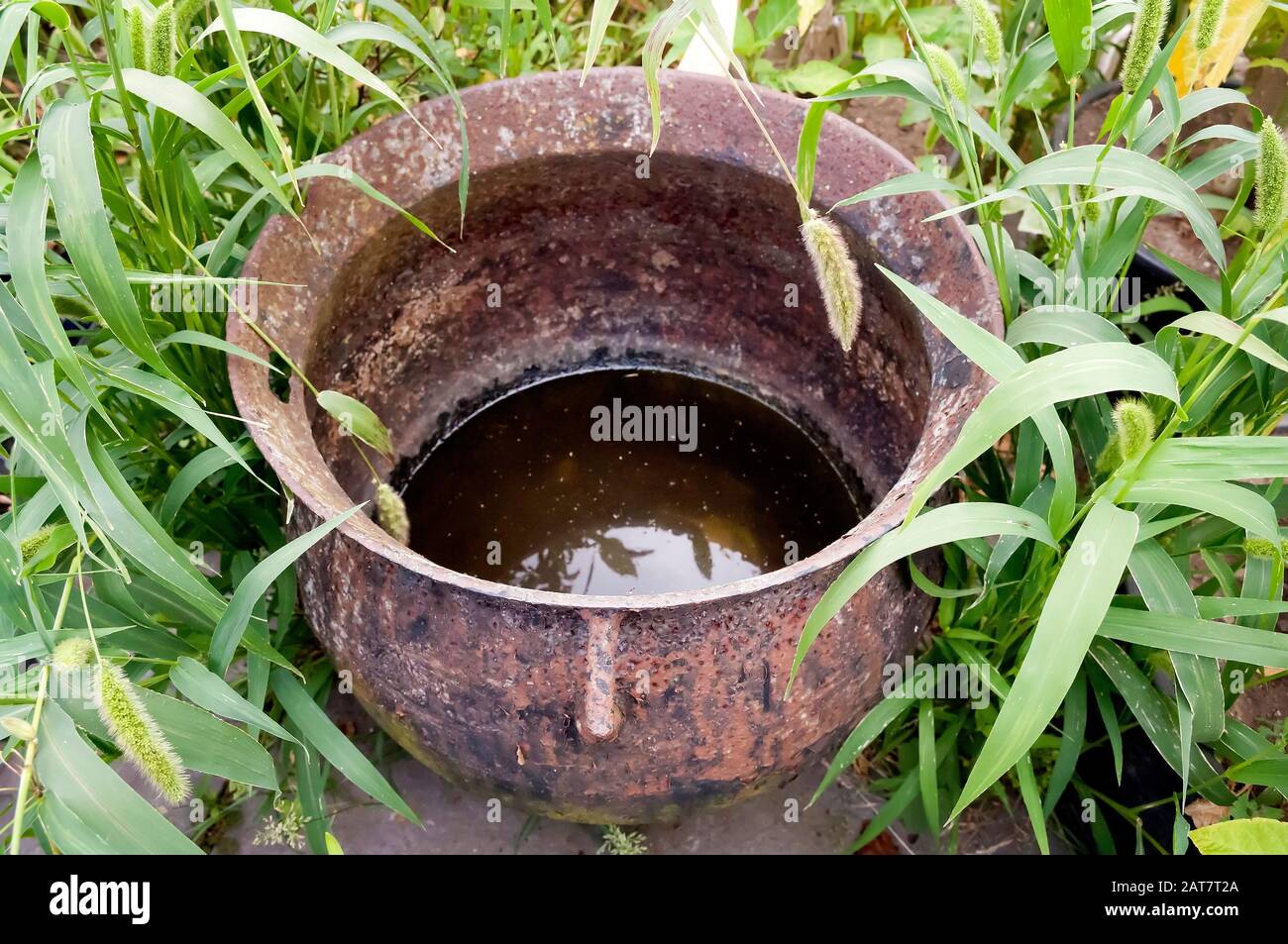 A old rusty pot, cauldron abandoned in a garden full of rain water