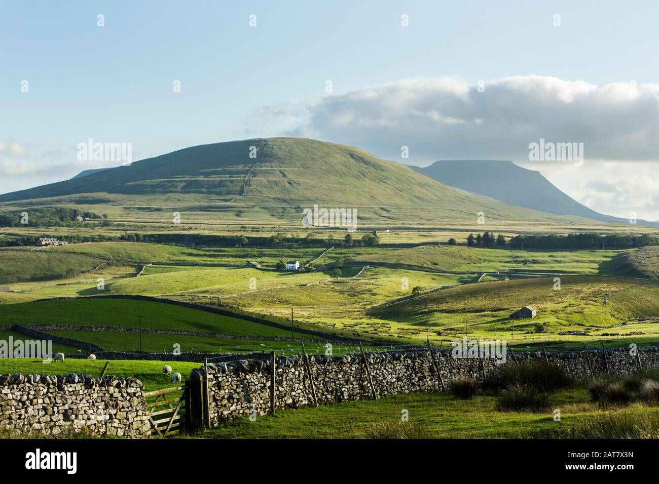 Simon Fell and Ingleborough seen from Ribblehead, Yorkshire Dales National Park, North Yorkshire, England Stock Photo