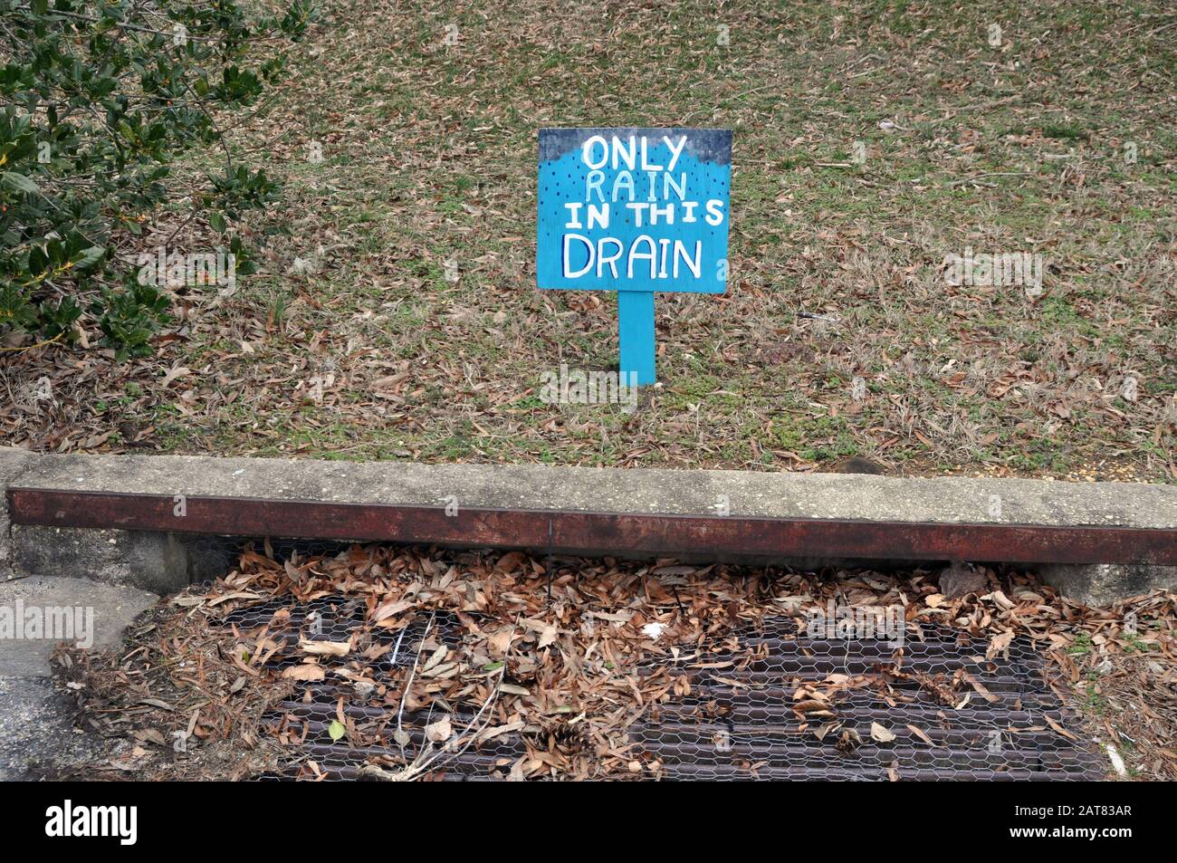 A Wooden Sign that reads,'Only Rain in this Drain.' Stock Photo