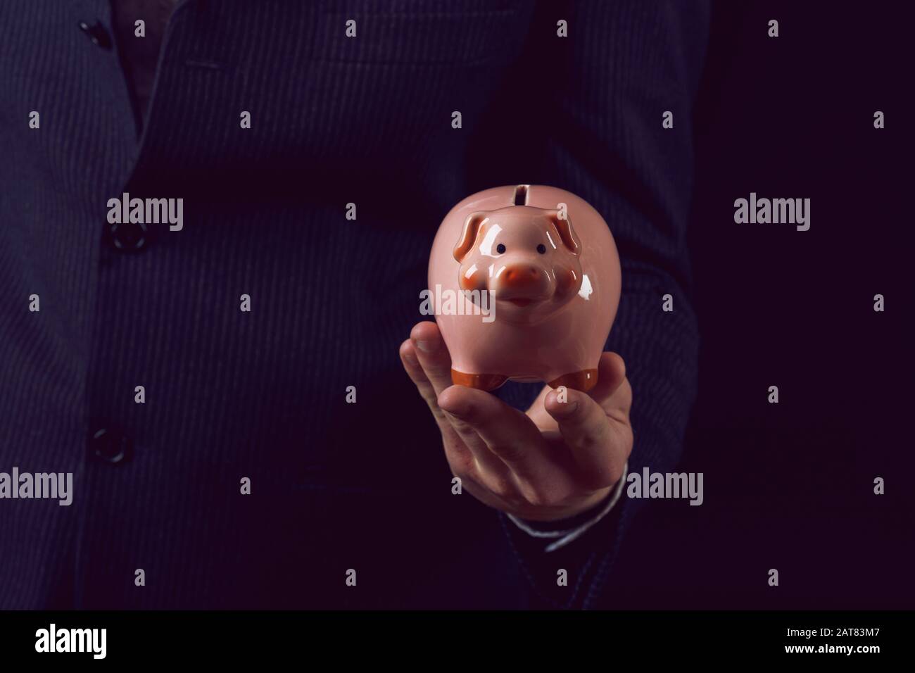 elegant piggy bank