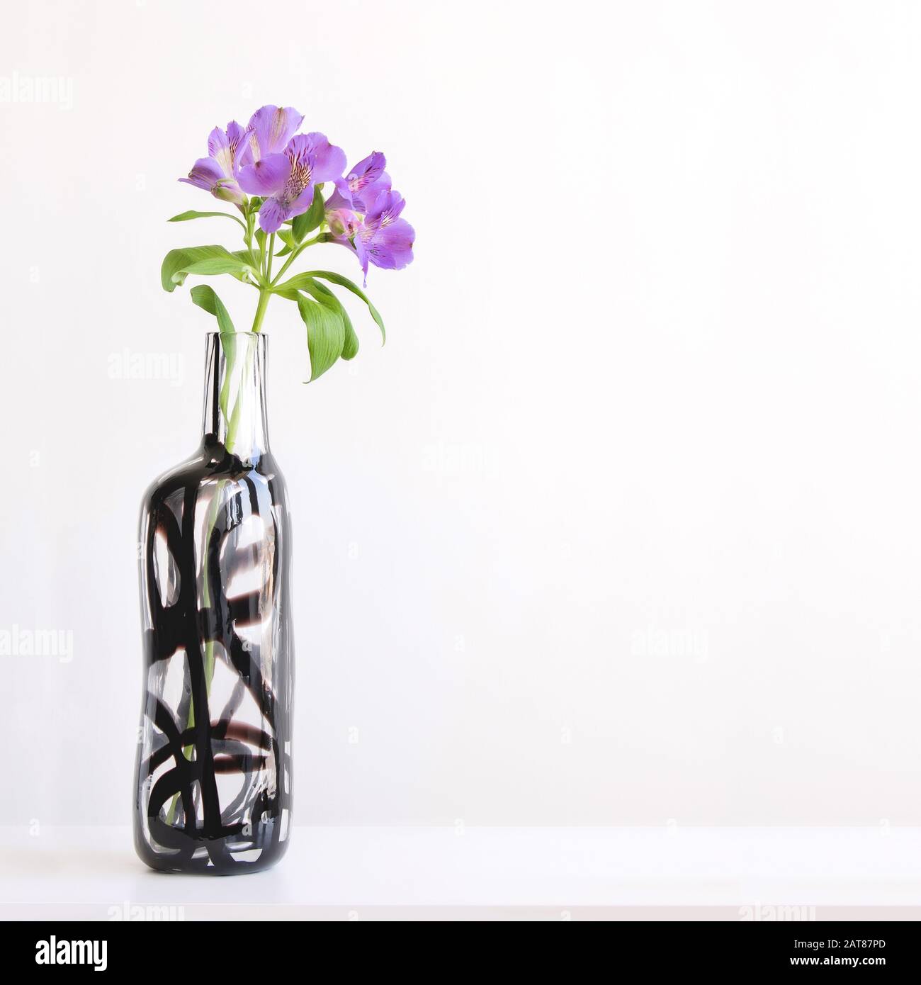 Scene With Tall Purple Alstroemeria In Glass Vase On Table On White Wall Background Elegant Simple Minimal Design With Copy Space Stock Photo Alamy