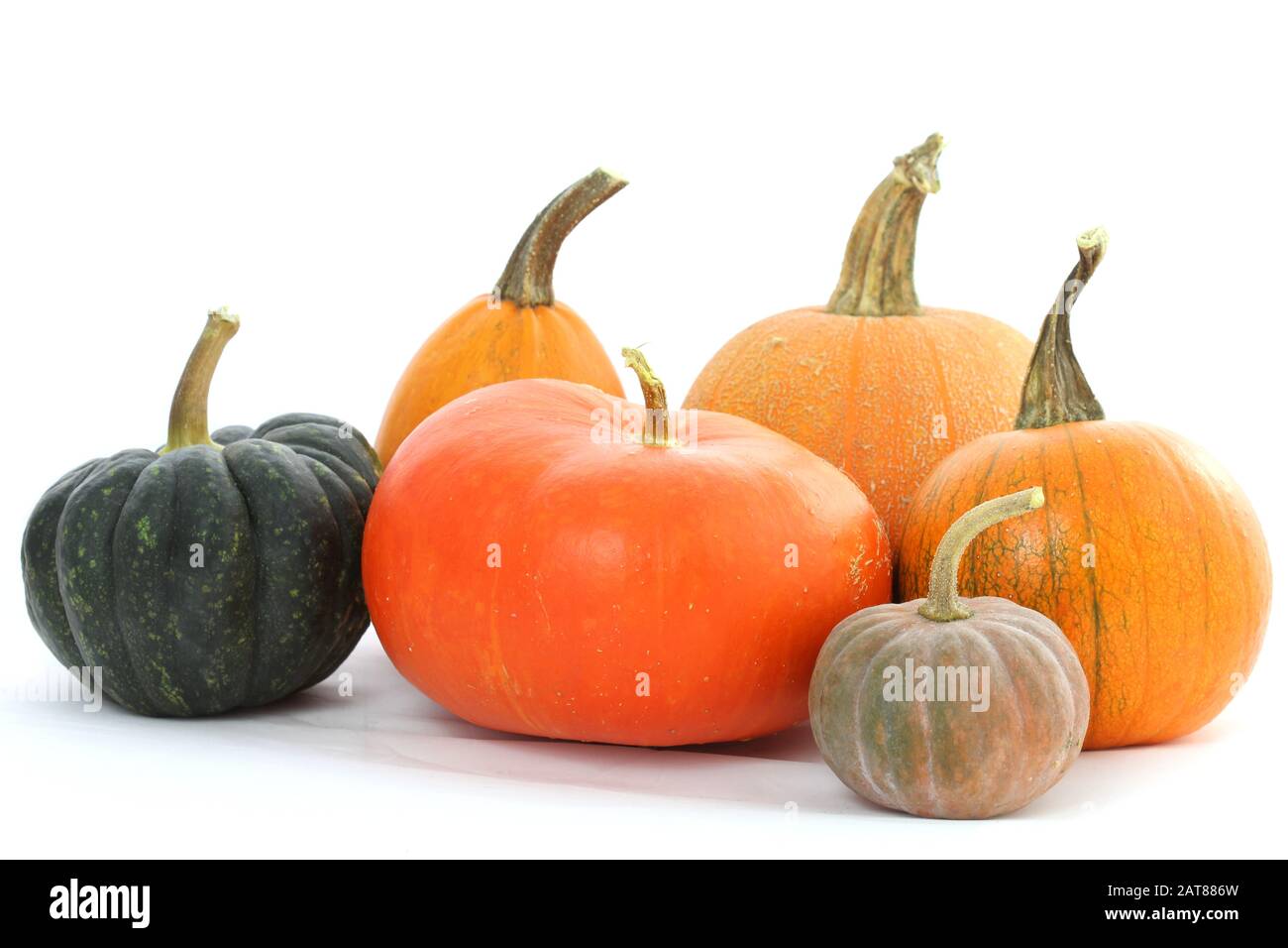 Varieties of pumpkins on white background Stock Photo
