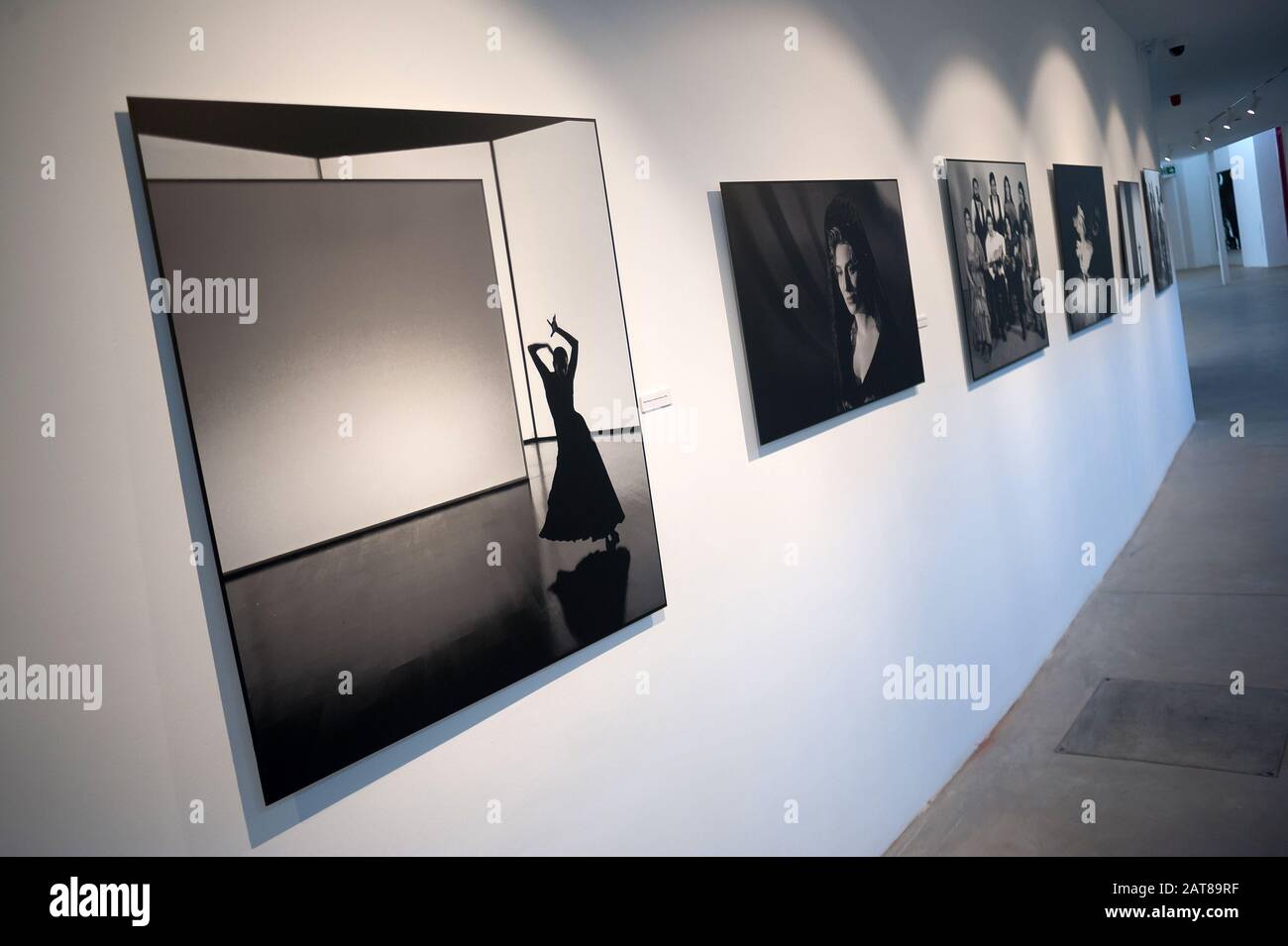 Photographs By Carlos Saura During The Exhibition Flamenco An