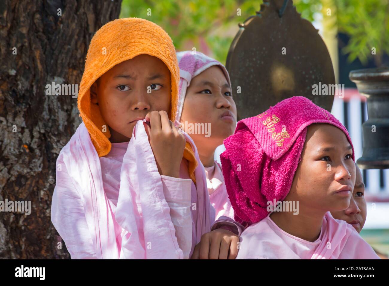 Young novice nuns faces watching television at Aung Myae Oo Monastic Free Education School, Sagaing, Mandalay, Myanmar (Burma), Asia in February Stock Photo