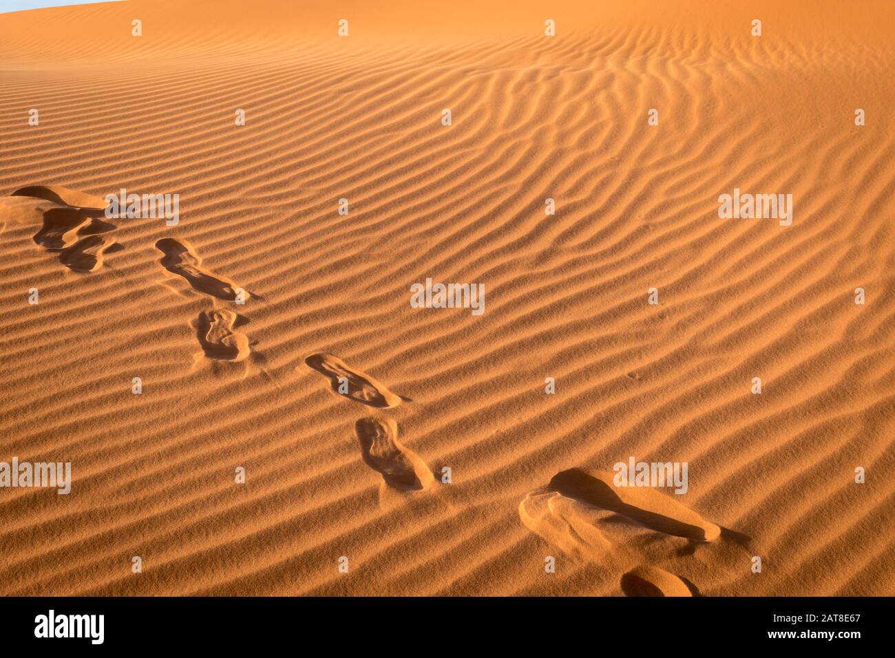 Footprints in the sand, Sahara, Merzouga, Morocco Stock Photo