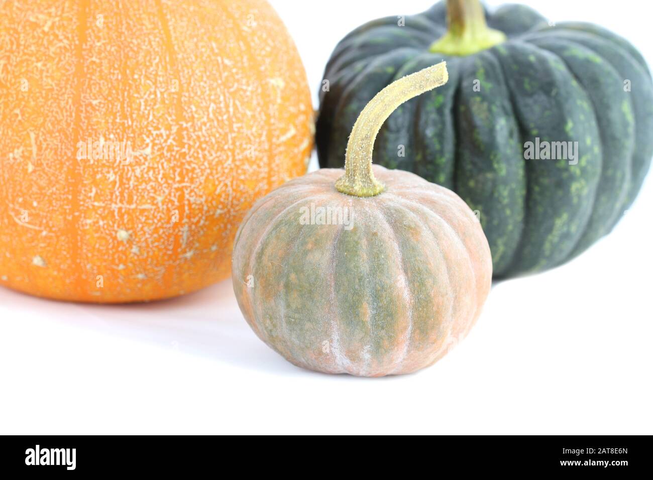 Pumpkins on white background Stock Photo