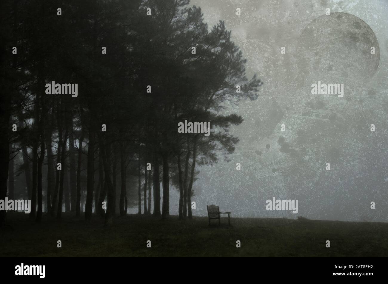 A bench on the edge of a spooky forest with the moon in the sky. With a photoshopped, paintly effect. With a grunge, textured edit. Stock Photo