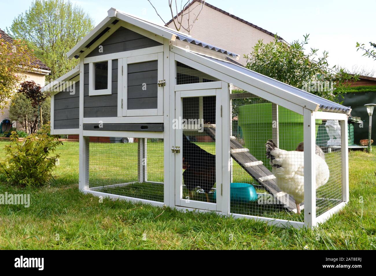 A hen house or chicken coop with hens Stock Photo