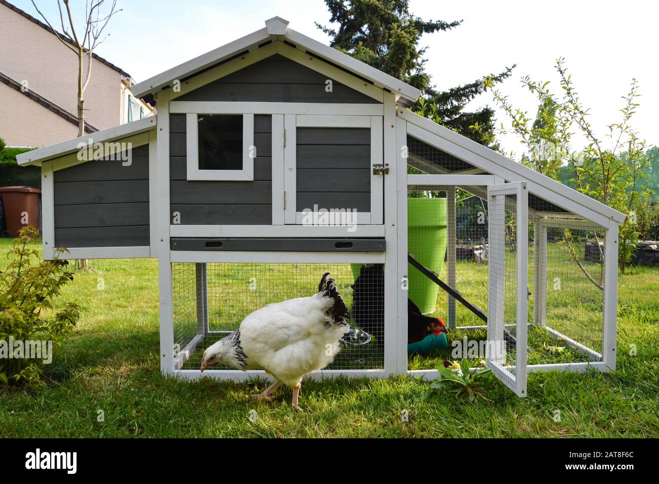 A hen house or chicken coop with hens Stock Photo