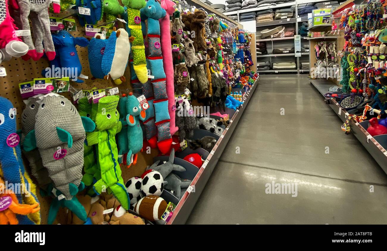 Orlando, FL/USA-1/29/20: A display of various brands of colorful dog toys for sale at a Petsmart Superstore ready for pet owners to purchase for their Stock Photo