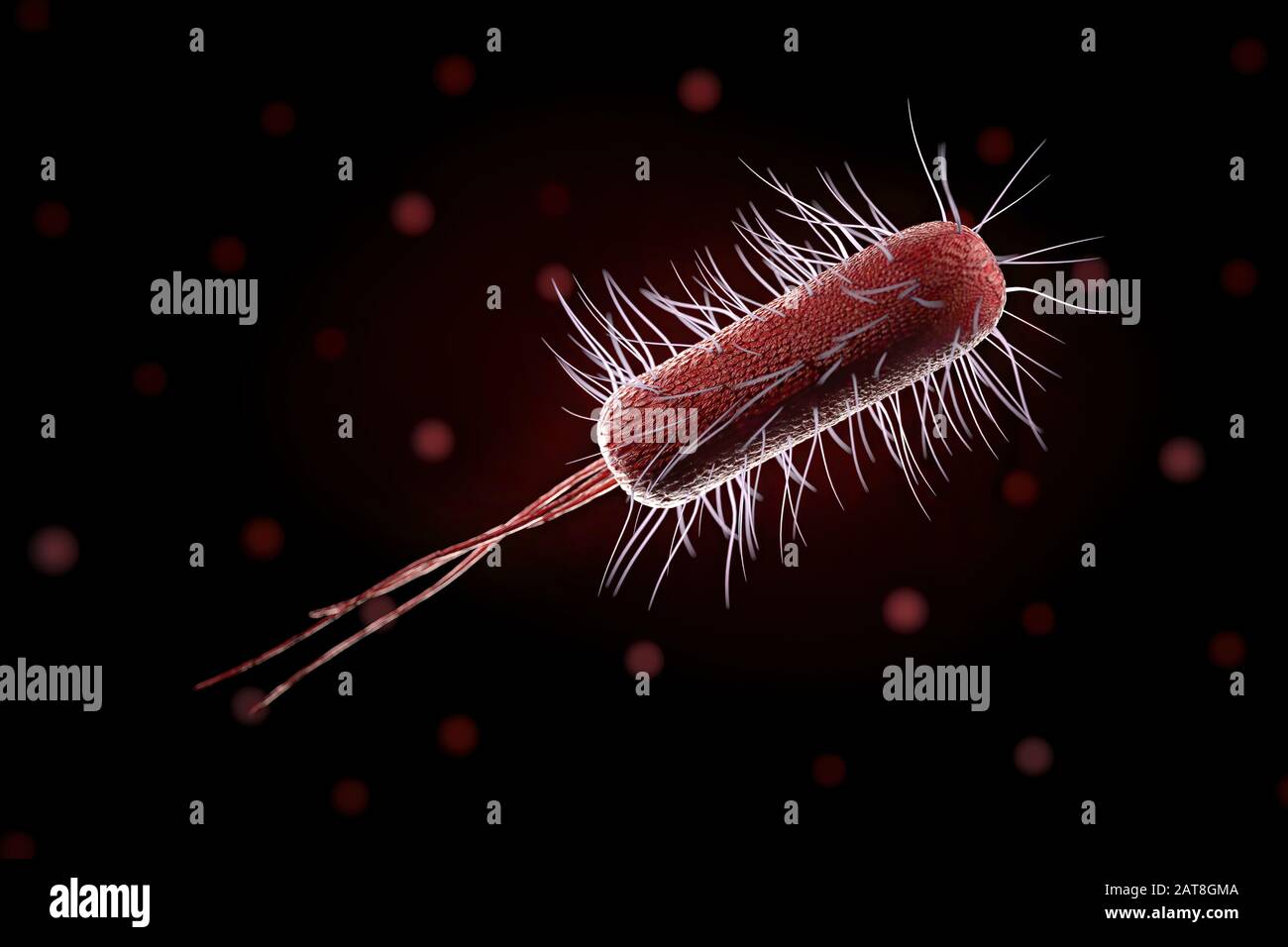 close up of microscopic bacteria , 3d illustration Stock Photo