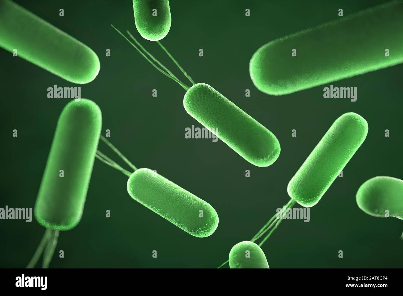 close up of microscopic bacteria , 3d illustration Stock Photo
