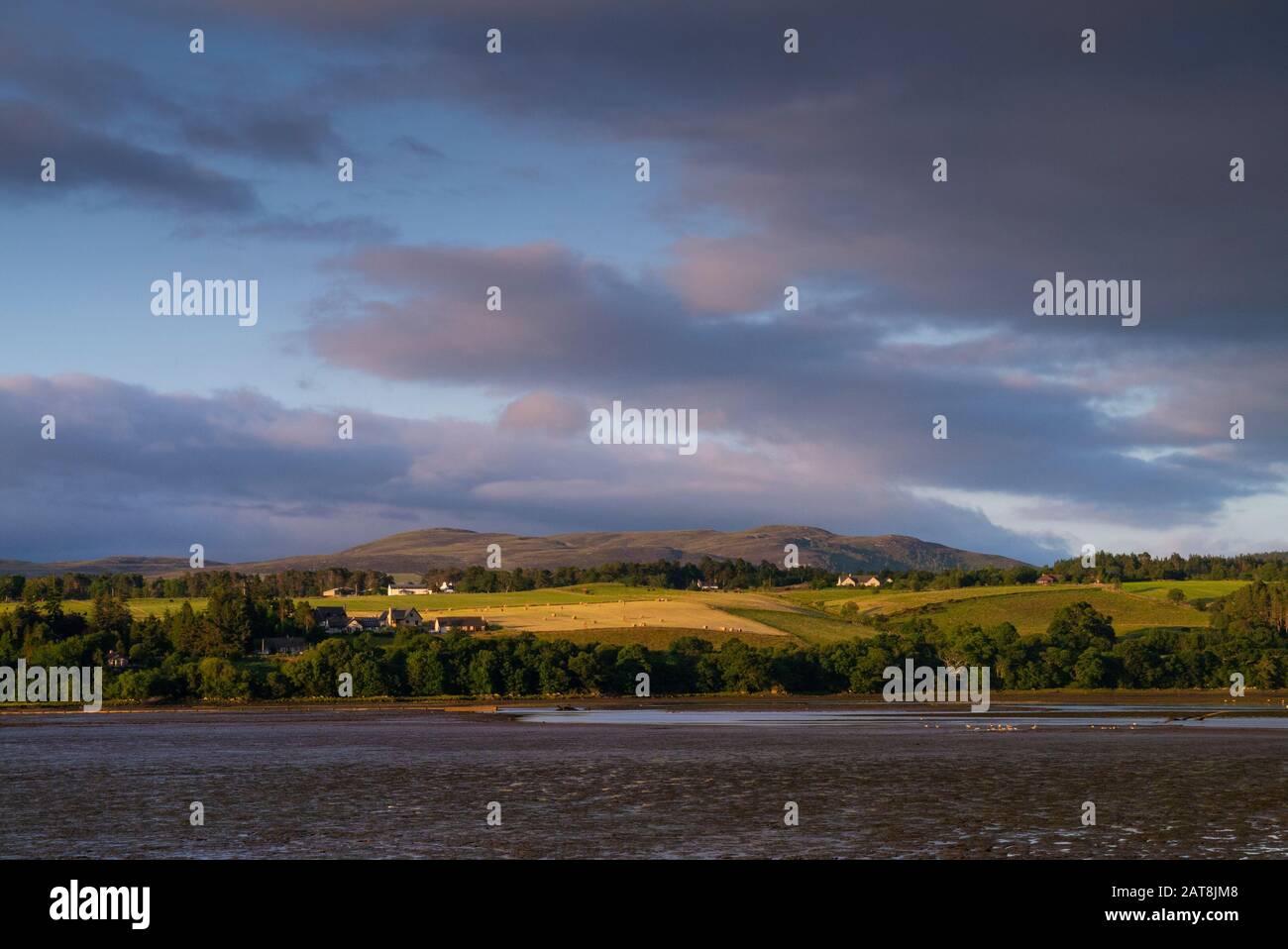 Landscape of a field at the end of the Dornoch Firth in the Scottish HIghlands of Sutherland Scotland UK Stock Photo