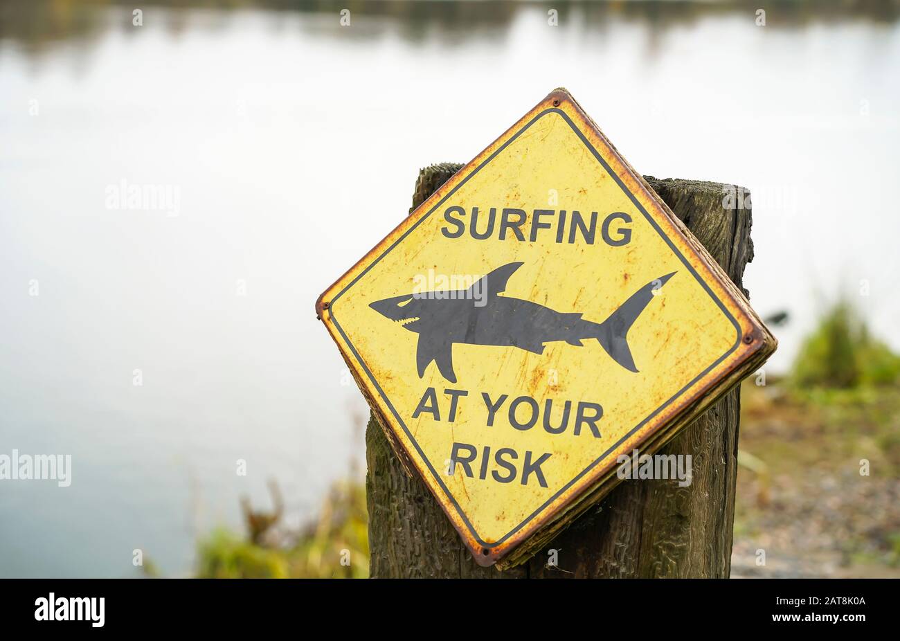 'Surfing at your risk' sign outdoors on wooden post by duck pond water at UK nature reserve! British humour, joke. Stock Photo