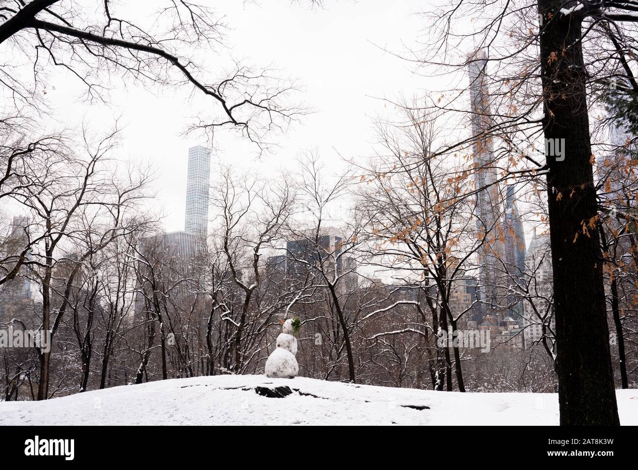 New York, Midtown Manhattan, Billionaire’s Row, including Central Park South most expensive