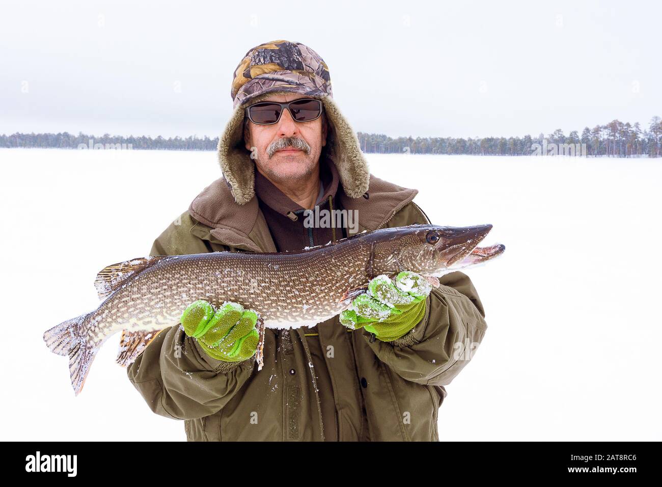 Fisherman holding northern pike with big hardbait in its mouth Stock Photo  - Alamy