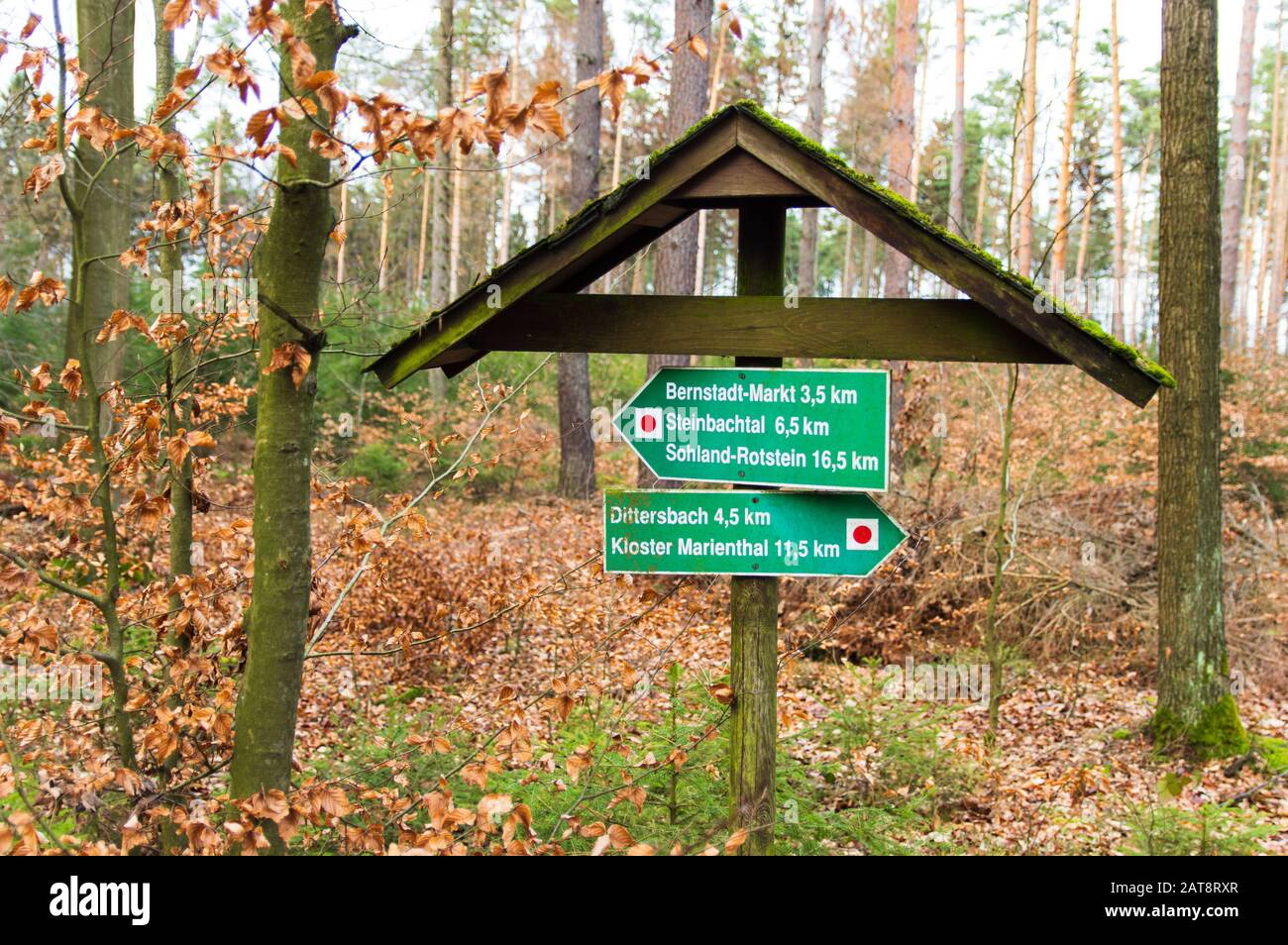 Signpost in German forest showing the direction to Dittersbach, Bernstadt and Cloister Marienthal in Ostritz Stock Photo