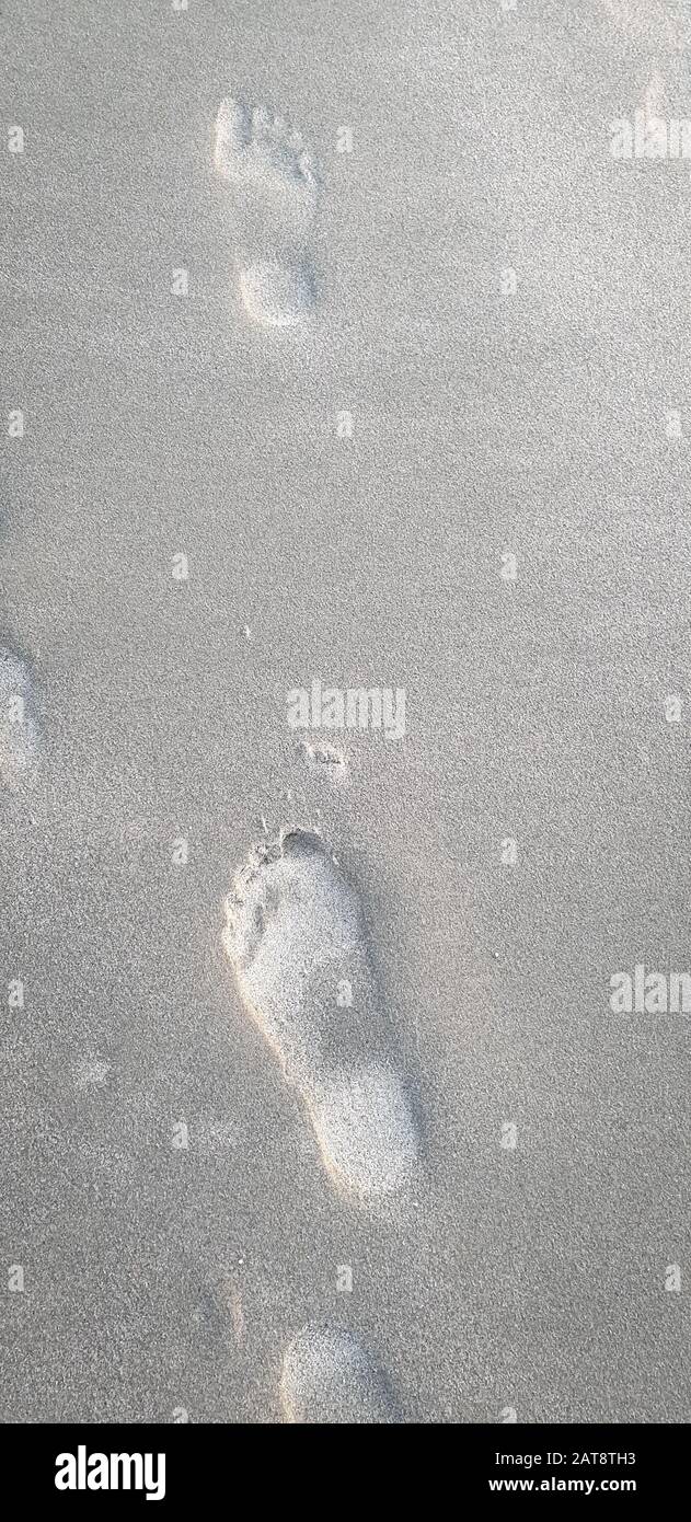 Footprints in sand on the beach Stock Photo