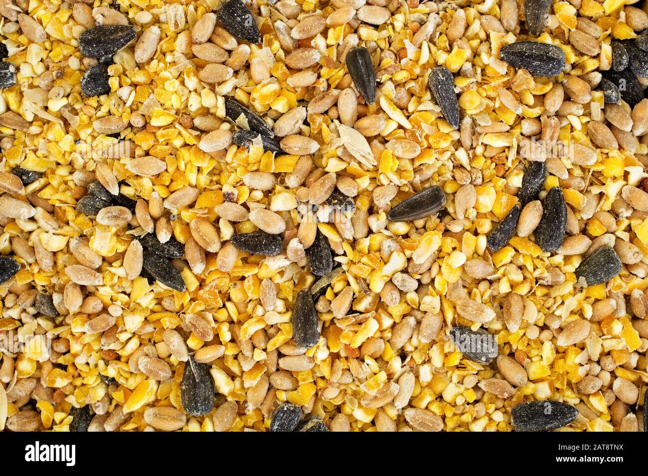 Mixed bird seed. Top down view Stock Photo Alamy