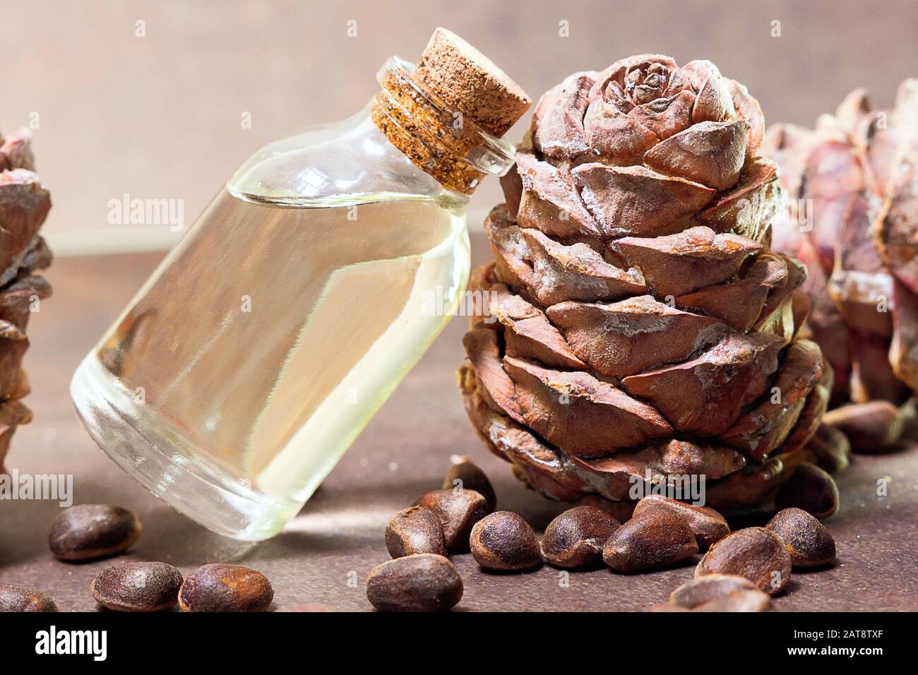 Pine nut oil is traditionally used in the treatment of skin diseases