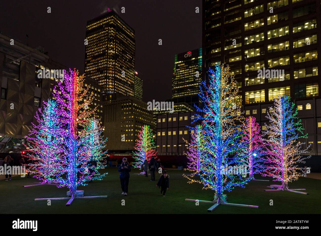 'Sasha Trees' by Adam Decolight at Bank Street Park. 2020 Winter lights festival in Canary Wharf, London, England. Stock Photo