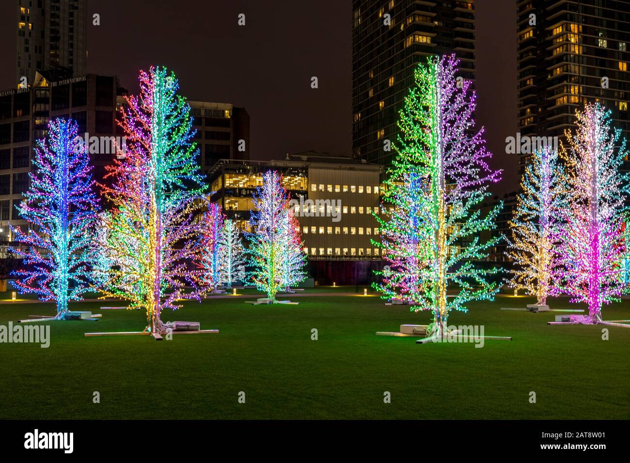 'Sasha Trees' by Adam Decolight at Bank Street Park. 2020 Winter lights festival in Canary Wharf, London, England. Stock Photo