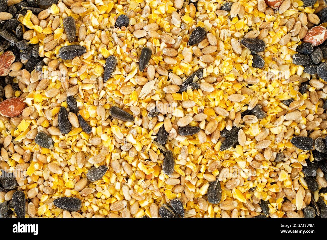 Mixed bird seed. Top down view Stock Photo Alamy