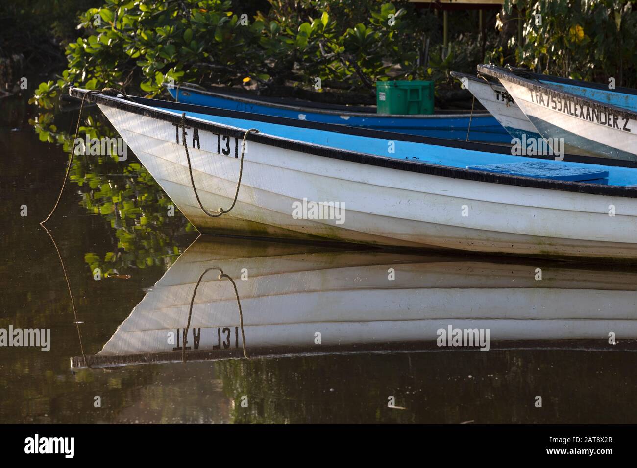 Pirogues, small wooden fishing boats, Grand Riviere on the northeast
