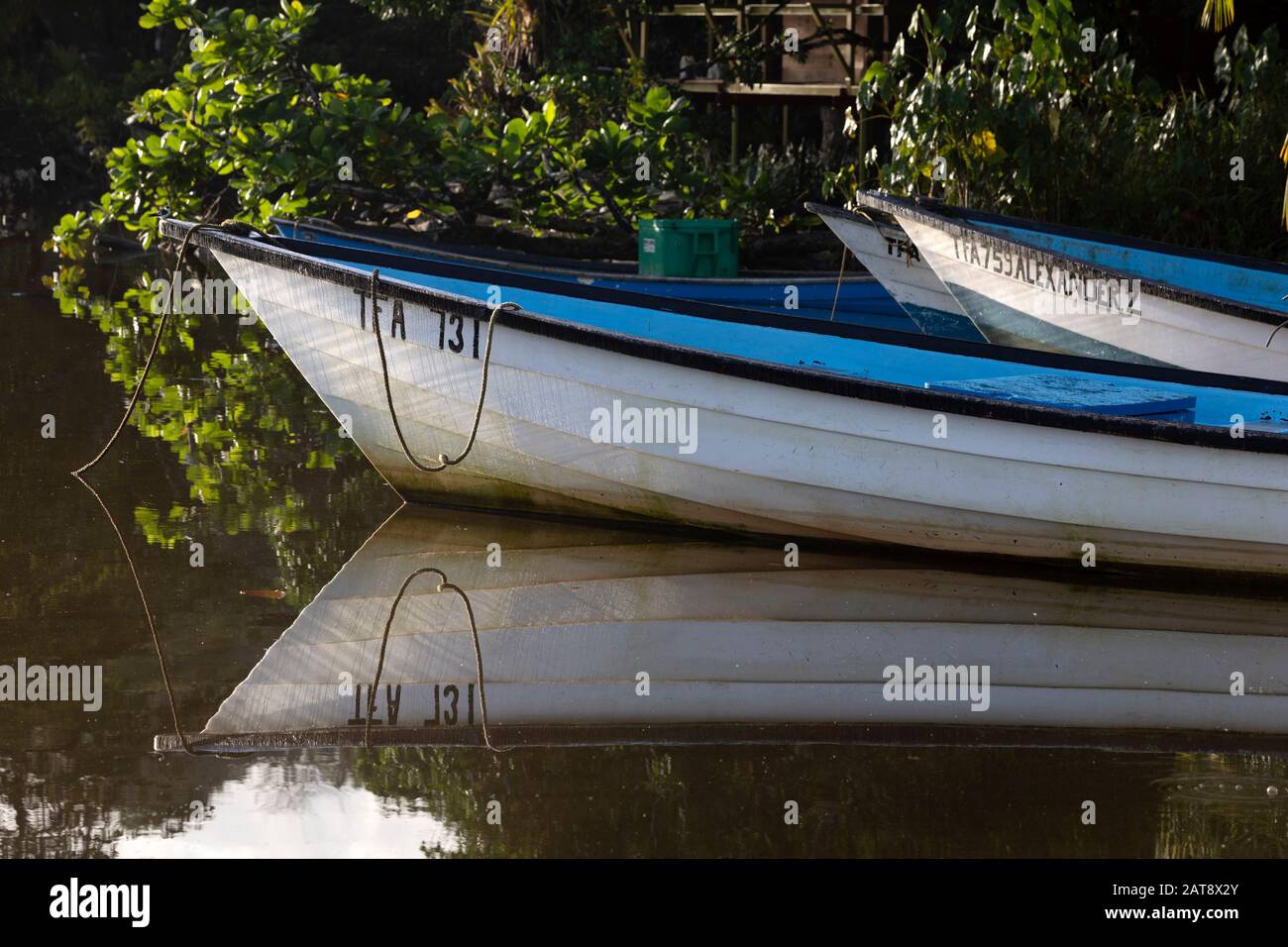 Pirogues, small wooden fishing boats, Grand Riviere on the northeast