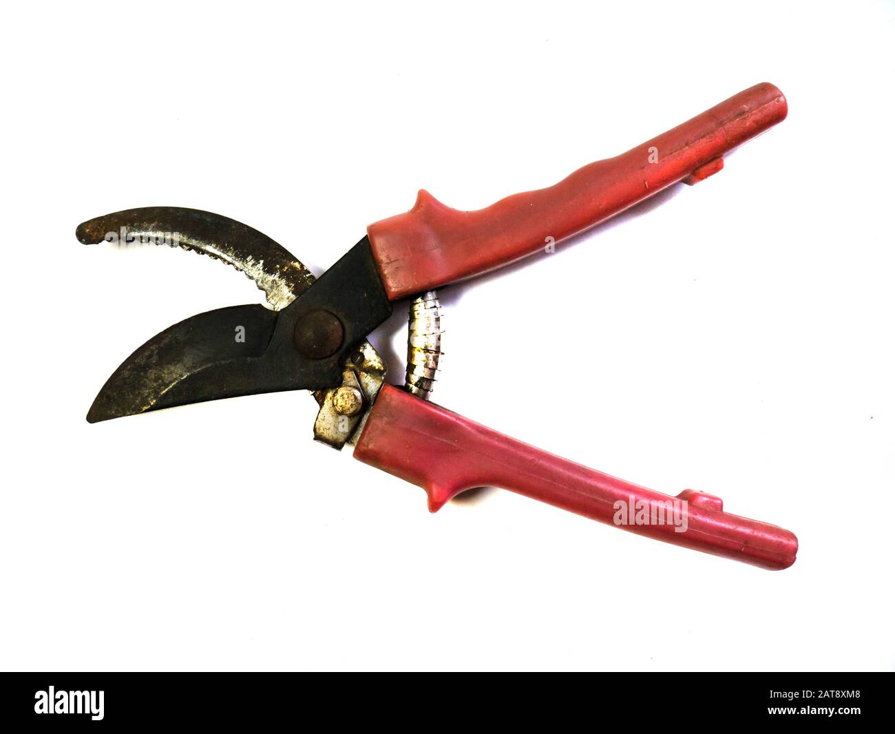 Secateur on a white background. Garden scissors Stock Photo Alamy