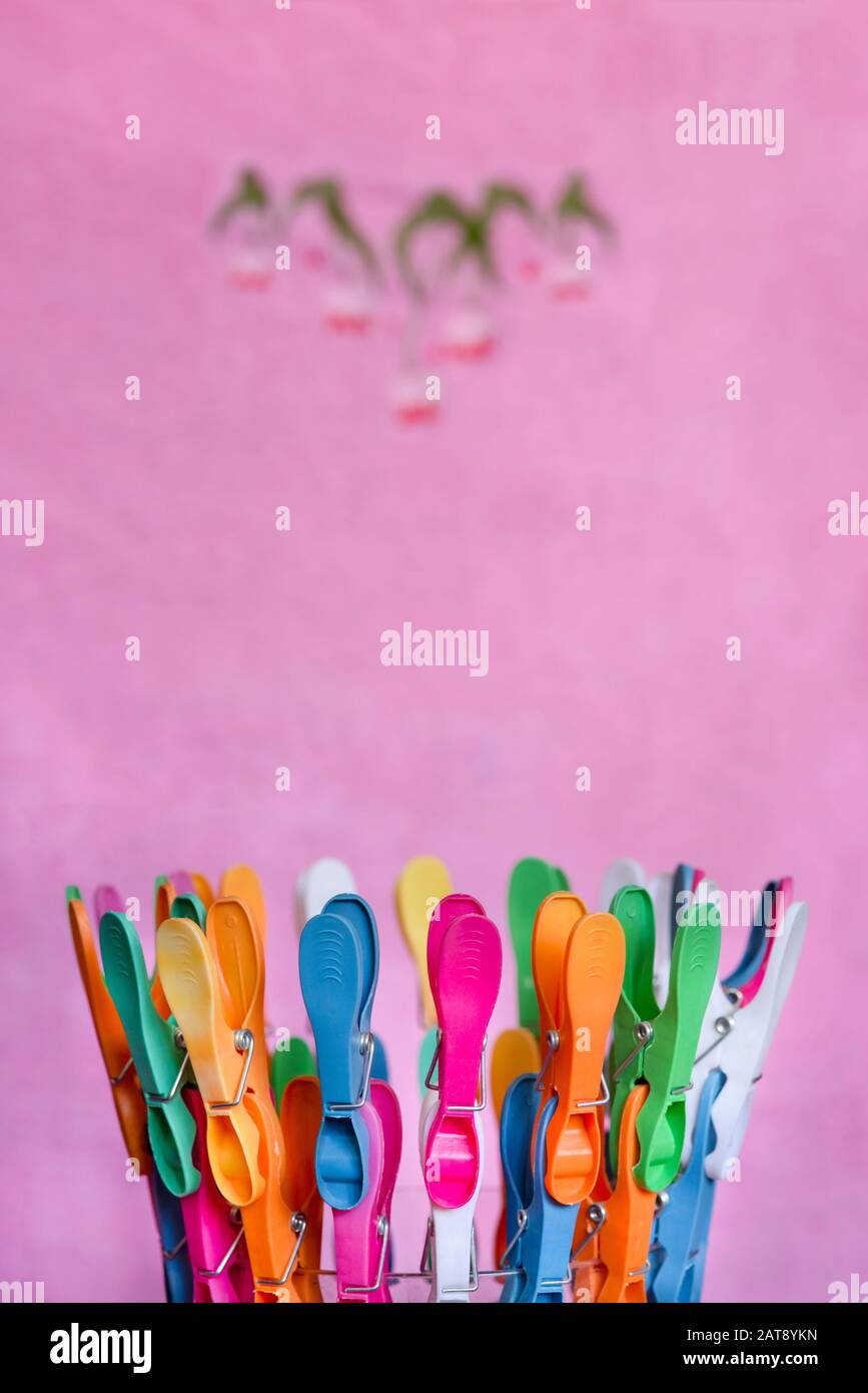 Multicolored clips for clothes, on pink background Stock Photo