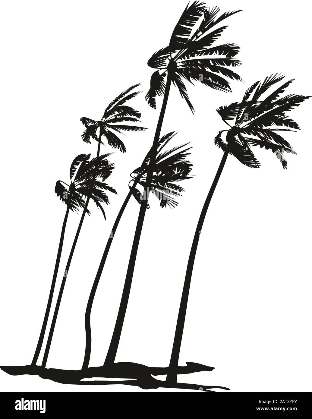 Palms during a hurricane Stock Vector