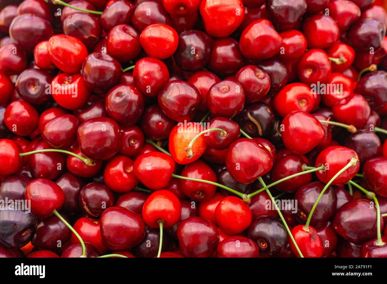 Pile of ripe cherries with stalks and leaves. Large collection of fresh ...