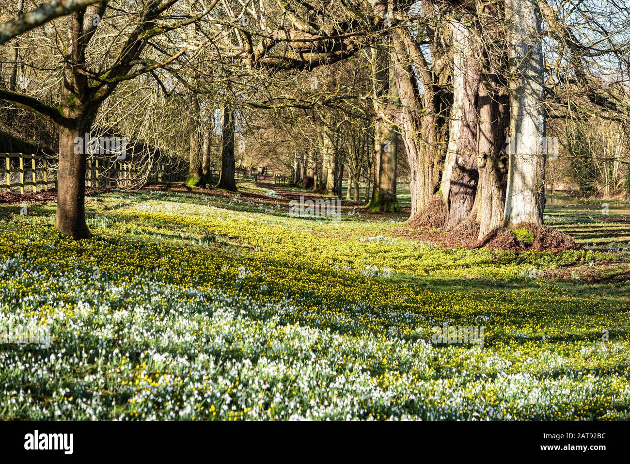 Welford Park, Berkshire, UK Stock Photo Alamy