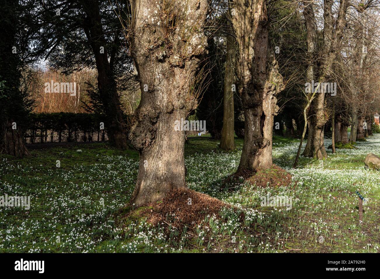 Welford Park, Berkshire, UK Stock Photo Alamy
