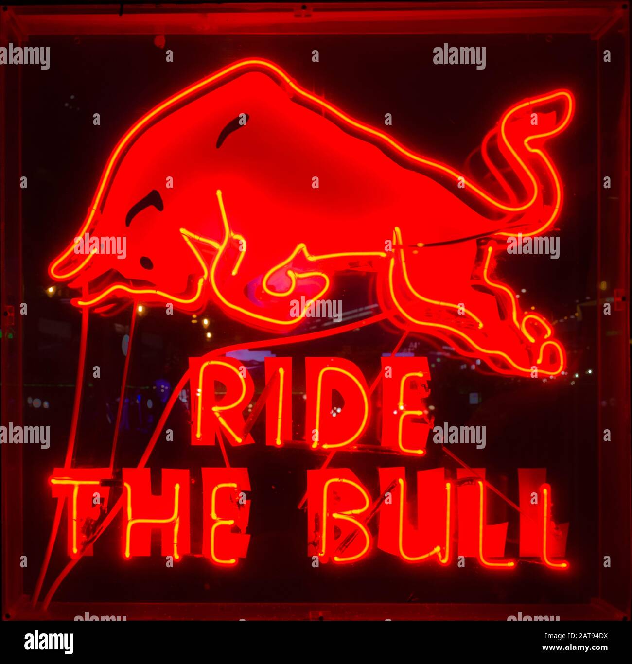 Red neon sign in the window of a bar advertising a mechanical bull ride. Stock Photo