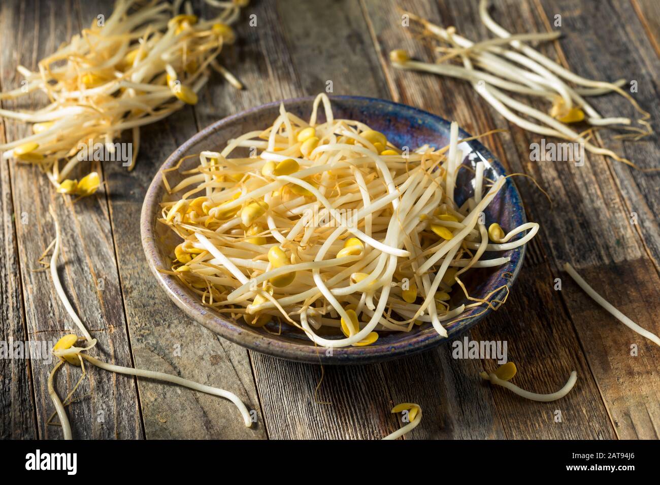 Raw White Organic Bean Sprouts in a Bowl Stock Photo