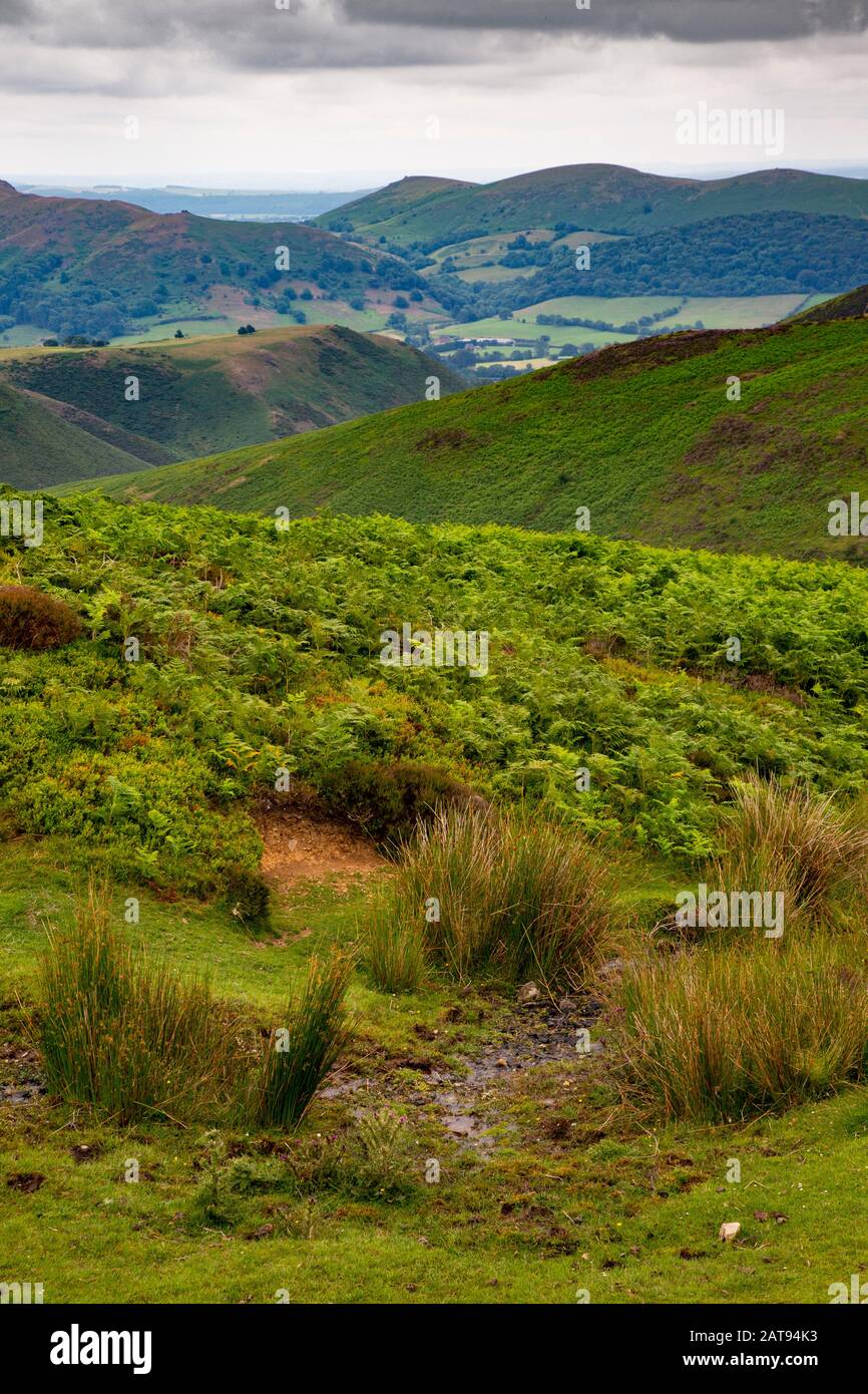 The Long Mynd is a part of the Shropshire Hills. Emerging suddenly and steeply from the farming landscape below it rises to 516metres (1693ft). Stock Photo