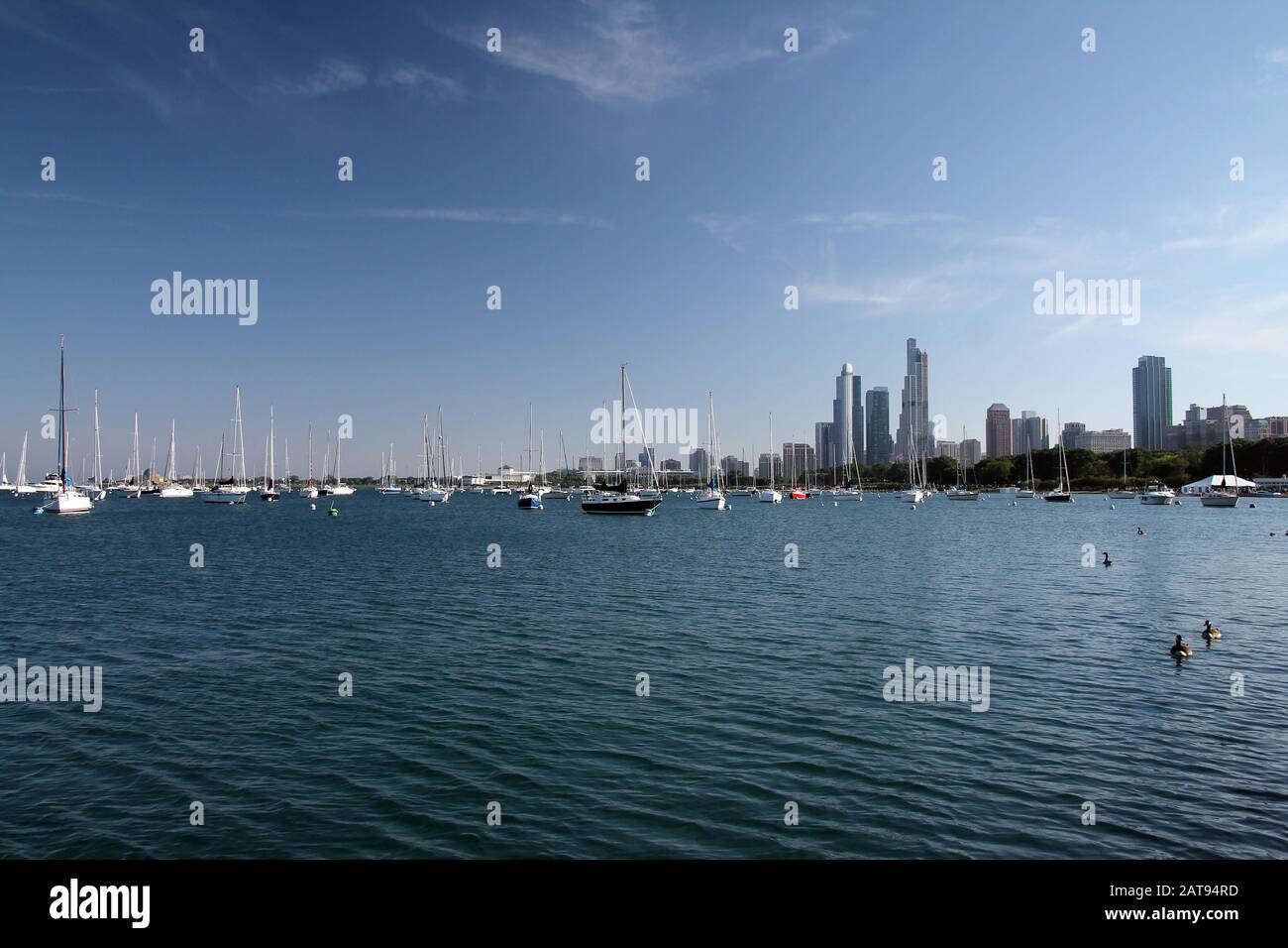 Chicago skyscrapers from the lake Stock Photo - Alamy