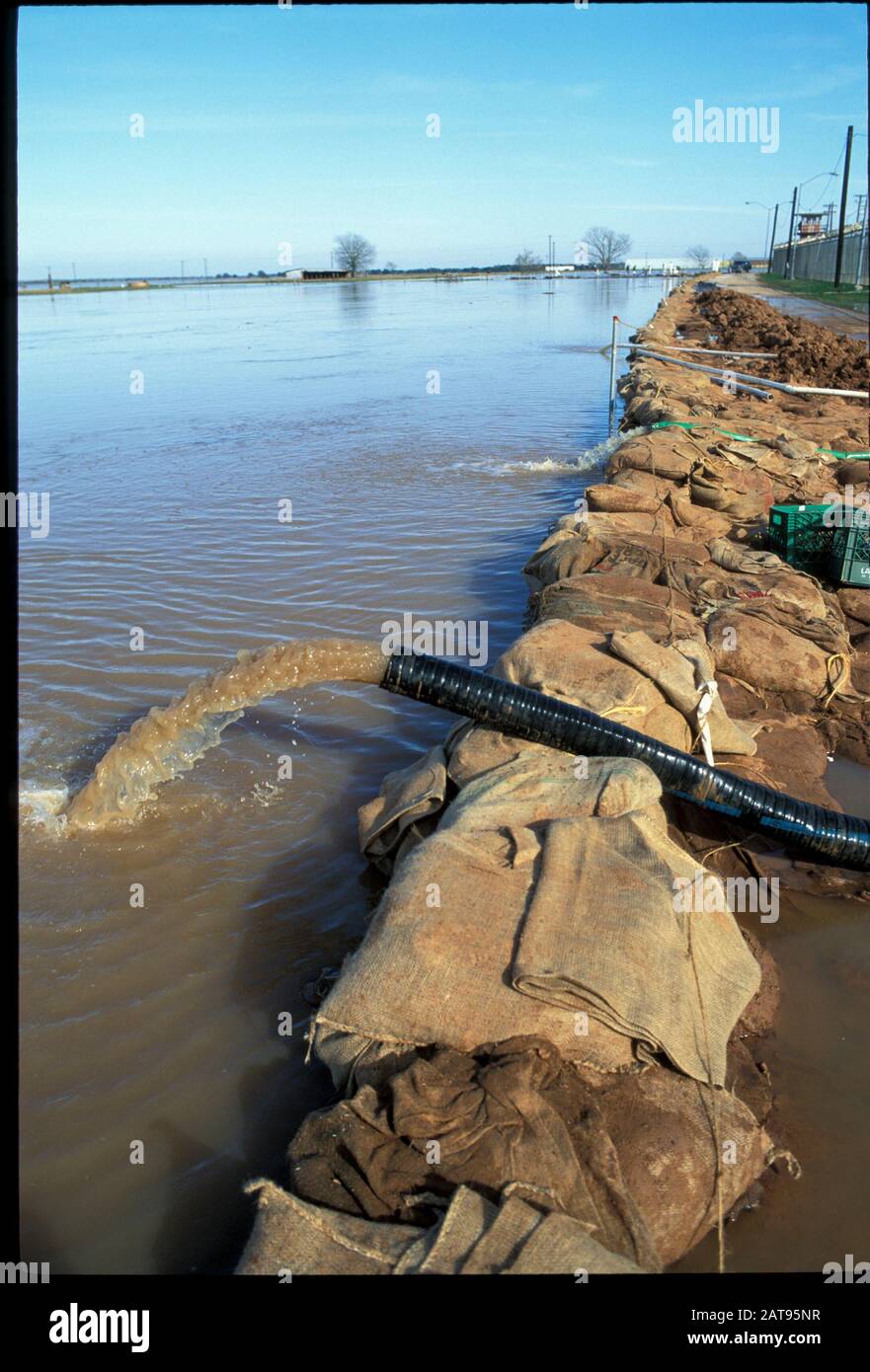 Angleton, Texas:  Pipe pumps floodwaters back into flooding river over the top of a sandbag levee built by prison inmates in nearby Texas Dept. of Corrections unit.  ©Bob Daemmrich Stock Photo