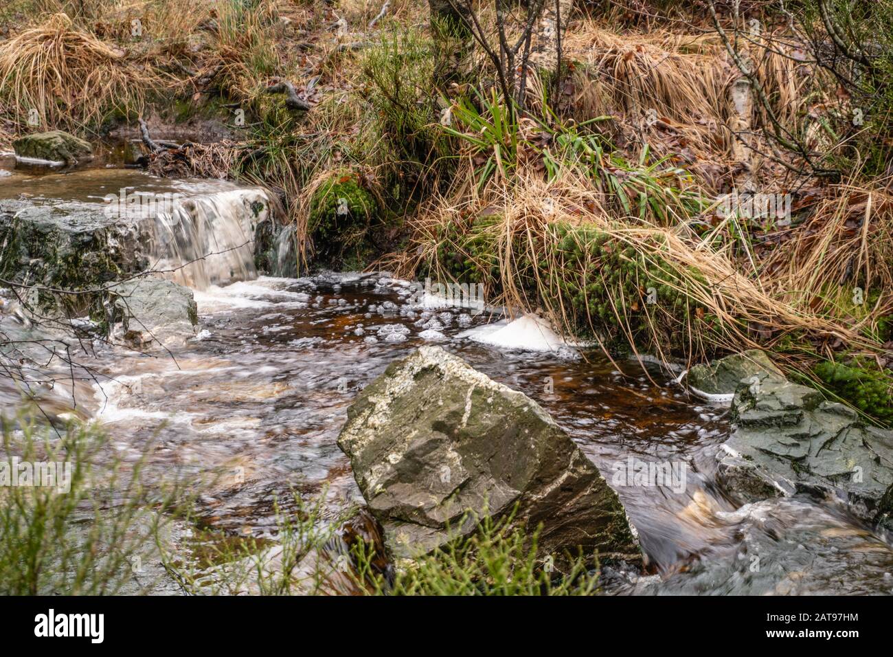 Brook with grasses hi-res stock photography and images - Alamy