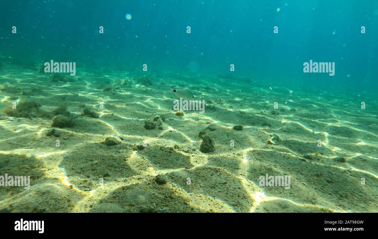 Underwater rocks hires stock photography and images Alamy