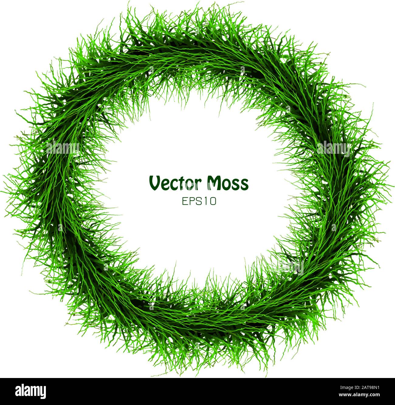 Vector Seaweed Garland - Round Isolated Vegetative Grass Cadre - Herb Green Concept Stock Vector