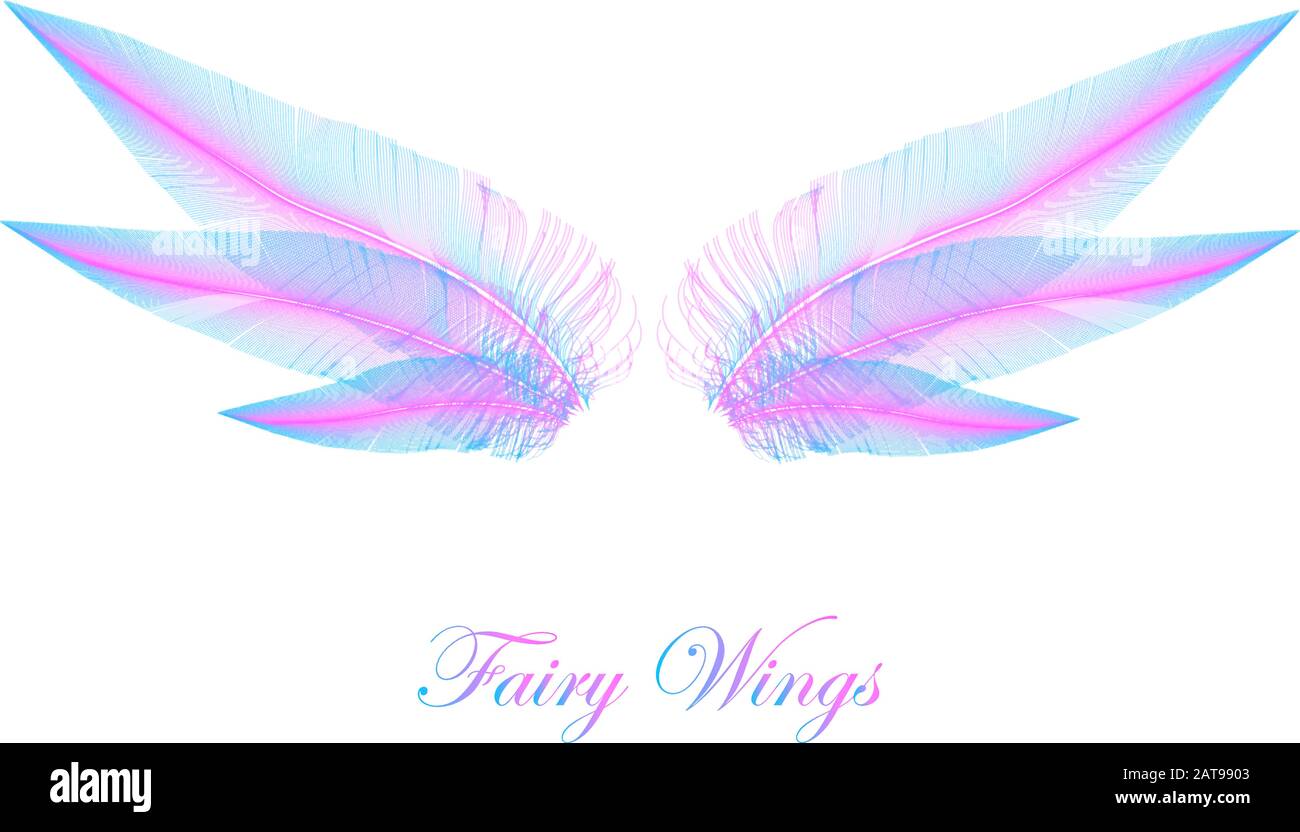 Pink and Blue Wings - Magic Elfin Wings - Concept Vector Design Isolated on White Stock Vector