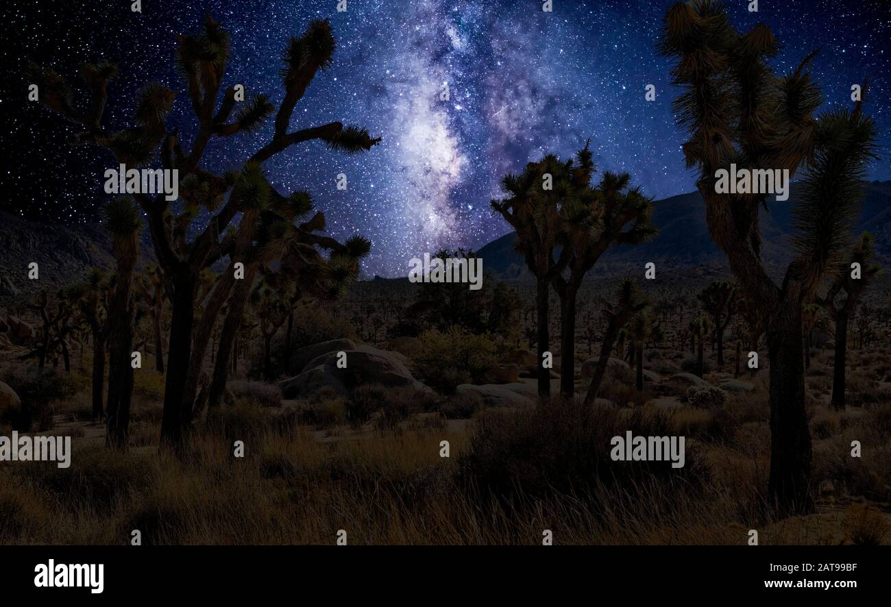 joshua tree national park with milky way composited in Stock Photo - Alamy